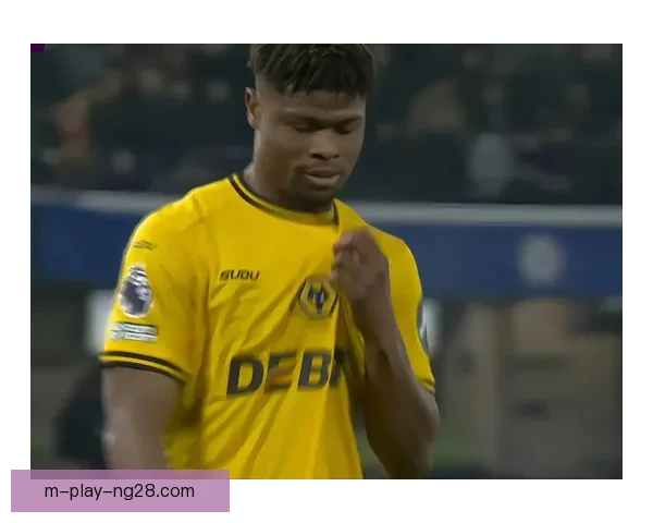 2025夏窗富勒姆锁定法甲主力边后卫补强防线冲击英超赛季目标